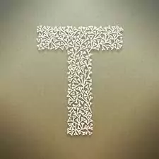 t love photo dp